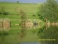 /album/fenykepgaleria/a164537-181439525221229-3408584-n-jpg/