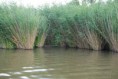 /album/fenykepgaleria/dsc-0350-jpg/