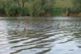 /album/fenykepgaleria/dsc-0353-jpg/