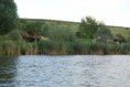 /album/fenykepgaleria/dsc-0361-jpg/