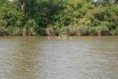 /album/fenykepgaleria/dsc-0365-jpg/