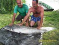 /album/fenykepgaleria/a10544966-783124221719420-463924723-n-jpg/